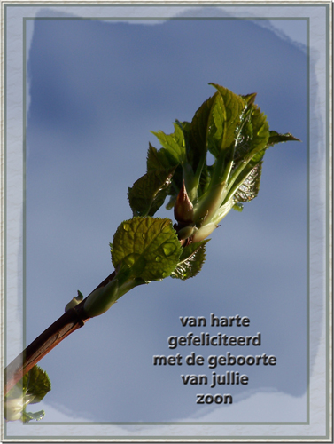 Klik voor een vergroting!